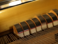 Tiny Hammers In Motion