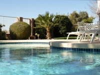 Diving Board