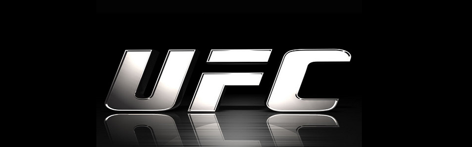 UFC 145 Update
